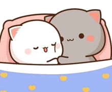 two cats are laying next to each other in a bed .