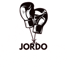 a pair of boxing gloves hanging from a string with the word jordo .