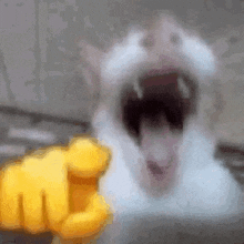 a blurry picture of a cat with its mouth open and a yellow fist behind it