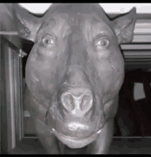 a statue of a pig with a large nose