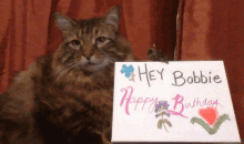 a cat is holding a sign that says " hey bobbie happy birthday "