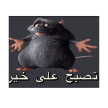 a picture of a cartoon mouse with arabic writing on it