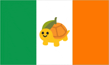 a turtle with an orange leaf on its shell is on a green and orange flag