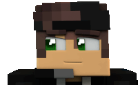 a 3d model of a minecraft character with brown hair and green eyes