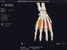 a skeleton of a hand is shown on a screen that says " motion mode "