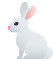 a white rabbit with a pink nose is sitting down