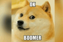 a picture of a dog with the words `` ok boomer '' written on it .