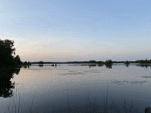 a large body of water surrounded by trees and grass