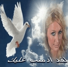 a picture of a woman and a white pigeon with arabic writing