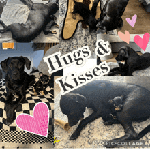 a collage of black dogs with the words " hugs & kisses "