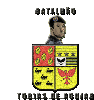 a man in a black beret stands behind a coat of arms that says batalhao