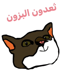 a cartoon drawing of a cat with arabic writing behind it