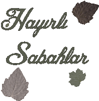 a sign that says hayırlı sabahlar with leaves in the background