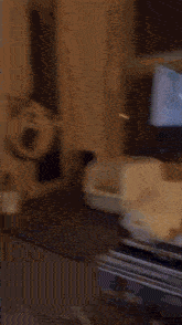 a blurred image of a room with a tv on the wall and a bread box on the table