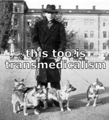 a man is walking three dogs on leashes in a field .