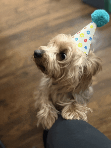 a dog wearing a party hat with paw prints on it