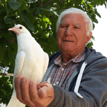 a man holds a white bird in his hands