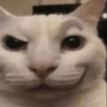 a close up of a white cat making a funny face with its eyes closed .