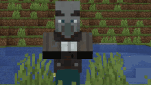 a minecraft character is standing in a swamp near a body of water