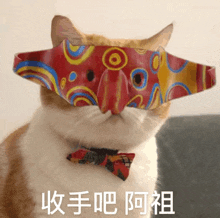 a cat wearing a colorful mask and a bow tie has chinese writing on its face