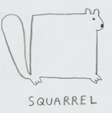 a black and white drawing of a square squirrel with the word squirrel below it