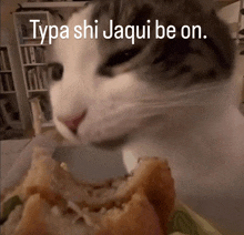 a cat is looking at a piece of food with the words typa shi jaqui be on above it