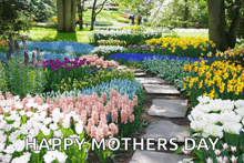 a greeting card for mother 's day shows a garden full of flowers