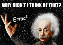 a cartoon of albert einstein with the words " why didn 't i think of that " below him