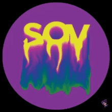 a purple circle with the word soy written on it .