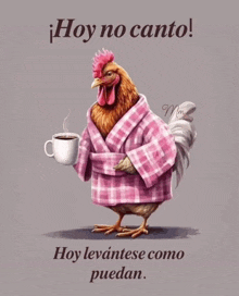 a rooster wearing a pink robe holding a cup of coffee