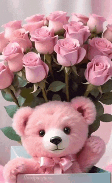 a pink teddy bear is holding a bouquet of pink roses in a box .