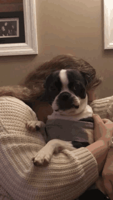 a person holding a black and white dog in their arms