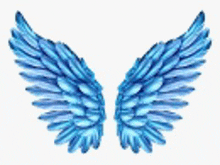 a pair of blue angel wings with a white background .