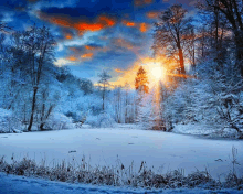 the sun is shining through the clouds over a snow covered forest