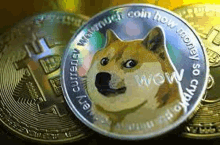 a doge coin with a picture of a dog on it