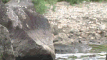 a blurred image of a river with a large rock in the foreground and a smaller rock in the background .