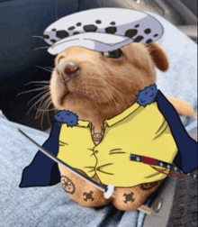 a dog wearing a yellow shirt and a hat with a sword