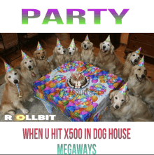 a group of dogs wearing party hats are gathered around a birthday cake