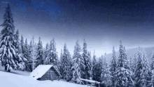 a snowy forest with a cabin in the middle