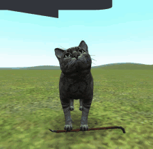 a cat is standing on a stick in the grass