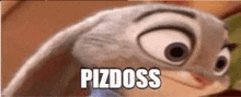 a close up of a cartoon rabbit with big eyes and the word pizdoss written on it .