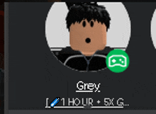 a picture of a roblox character named grey with 1 hour 5x c.