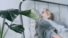 a woman laying in a hospital bed with a plant in the foreground