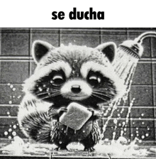 a raccoon is taking a shower in a black and white photo