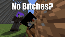 a screenshot of a video game with the words " no bitches " on the bottom