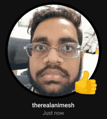 a man with glasses and a beard is giving a thumbs up with the name therealanimesh just now below him