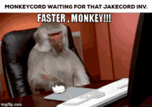 monkeycord waiting for that jakecord inv. faster monkey !!! imgflip.com