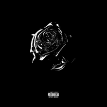 a black and white rose on a black background with parental advisory written on it