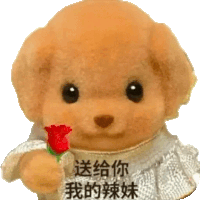 a teddy bear is holding a red rose and has chinese writing on it