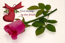 a greeting card with a pink rose and a heart that says good morning my dear friends